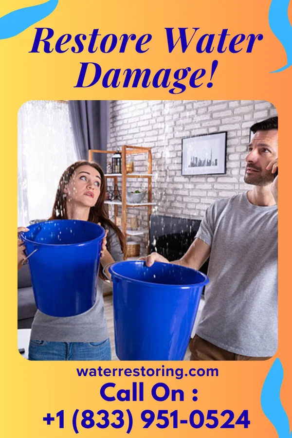 water restoration Precision Water Damage Solutions Springfield