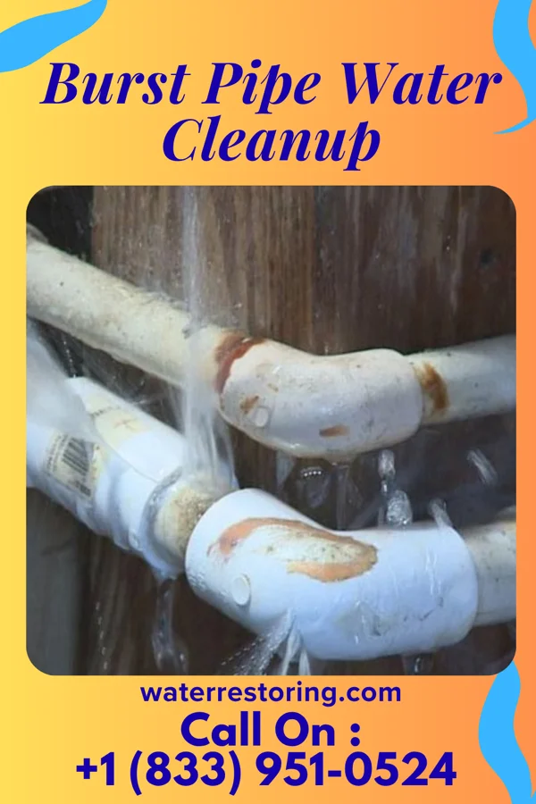 Burst Pipe Water Cleanup in Springfield, OH