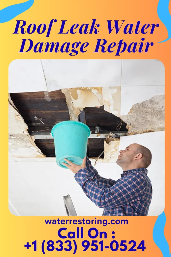 Roof Leak Water Damage Repair in Springfield, OH