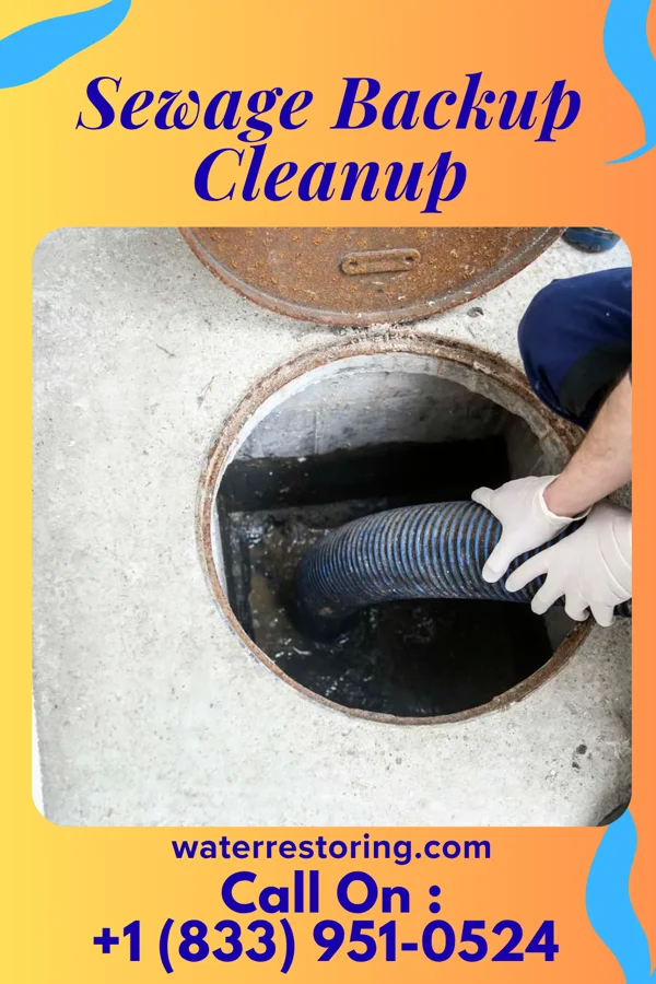 Sewage Backup Cleanup in Springfield, OH