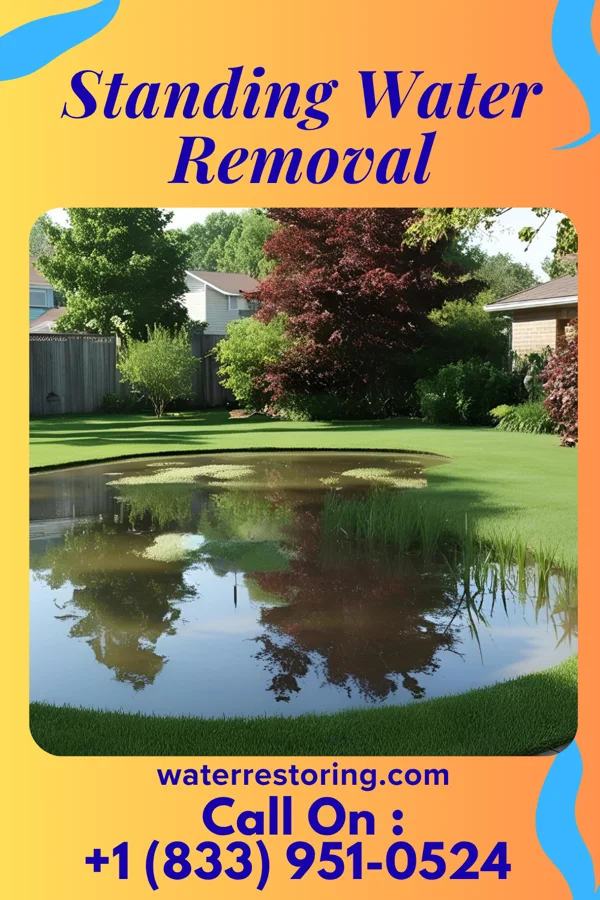 Standing Water Removal in Springfield, OH